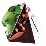 candela-puro-bio-biologica-passion-lime-fresco-cannella-offerta