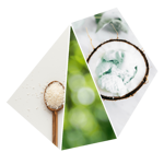 candela-joy-purobio-biologica-menta-cocco-vaniglia-offerta