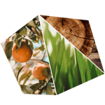 candela-biologica-pure-purobio-te-verde-offerta