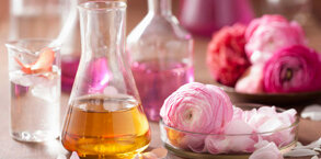 Guida agli attivi naturali Amerigo cosmetica naturale