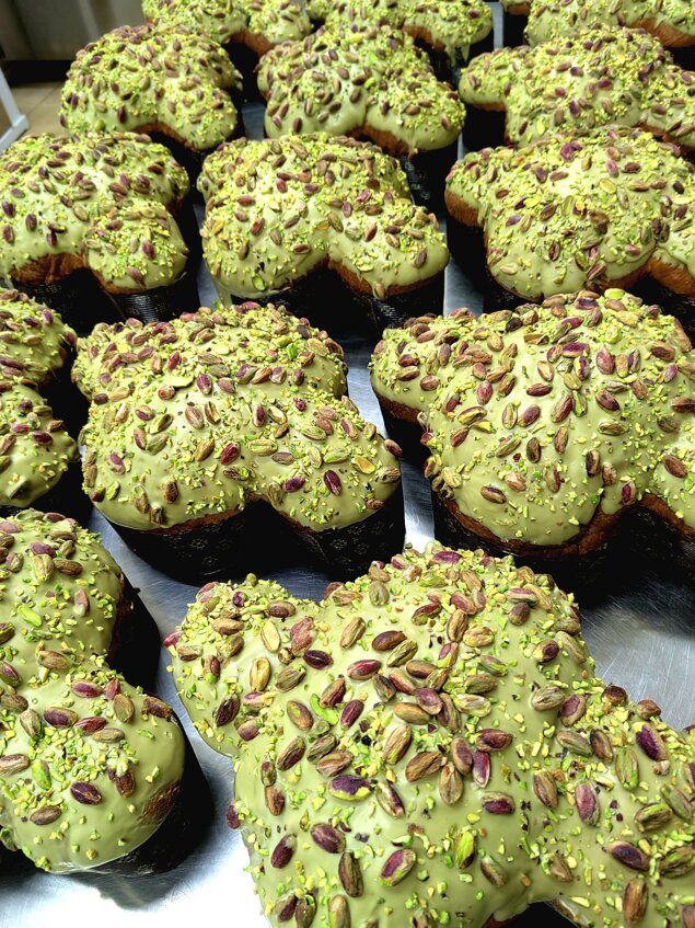 img_20230316_005722.jpeg img_20230316_005722.jpeg