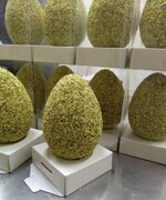 uovo-di-pasqua-al-pistacchio-linea-excellent