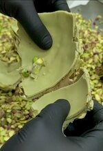 uovo-di-pasqua-al-pistacchio-ripieno-linea-extreme