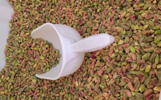 a23479ee-83c1-40c9-b774-a3f3321e6c13 a23479ee-83c1-40c9-b774-a3f3321e6c13