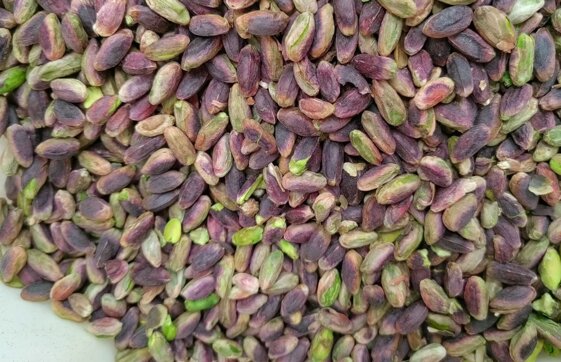 01a22030-ce0a-4a1a-a7d7-703ca0c85ff0 01a22030-ce0a-4a1a-a7d7-703ca0c85ff0