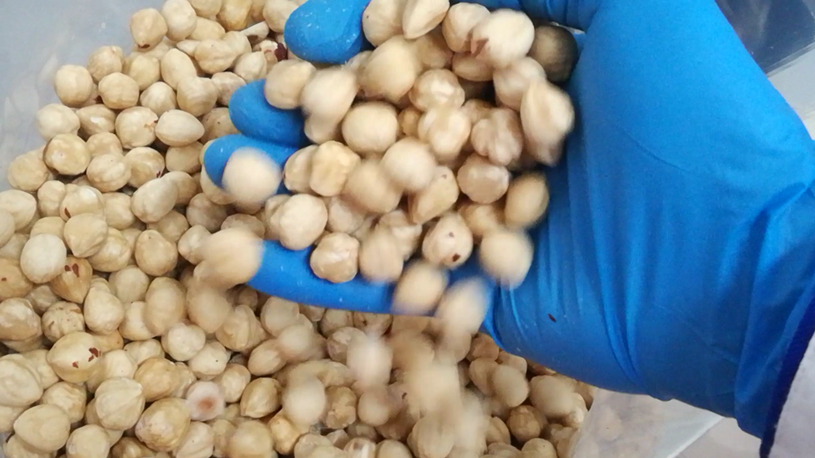 533bda42-84f9-421e-9065-961b6a41a175