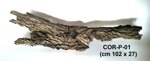 corteccia-pezzo-singolo-cor-p01