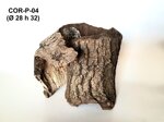 corteccia-ricurva-cor-p04