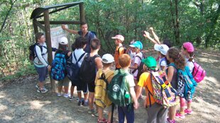 a93ddee0-3ebb-451f-b532-69e8c9866b32 a93ddee0-3ebb-451f-b532-69e8c9866b32