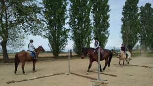 2b2f8e9a-8e5e-4032-a1fb-d926174580f7 2b2f8e9a-8e5e-4032-a1fb-d926174580f7