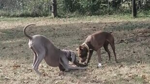 2a9c4d62-2057-46cf-a3b8-30438a8353fe 2a9c4d62-2057-46cf-a3b8-30438a8353fe