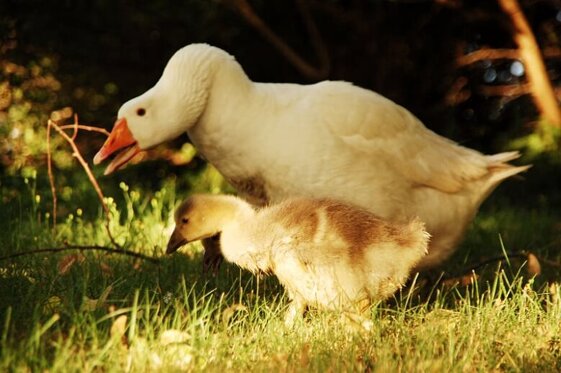 6f4f3edb-f706-4a86-905c-c0c8435d4303 6f4f3edb-f706-4a86-905c-c0c8435d4303