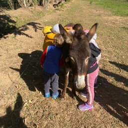 6afb0ef9-e03d-4574-b4f8-f272be2eb4e0.jpeg 6afb0ef9-e03d-4574-b4f8-f272be2eb4e0.jpeg