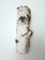 tronchetto-di-betulla