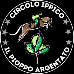 ipa ssd nero ipa ssd nero