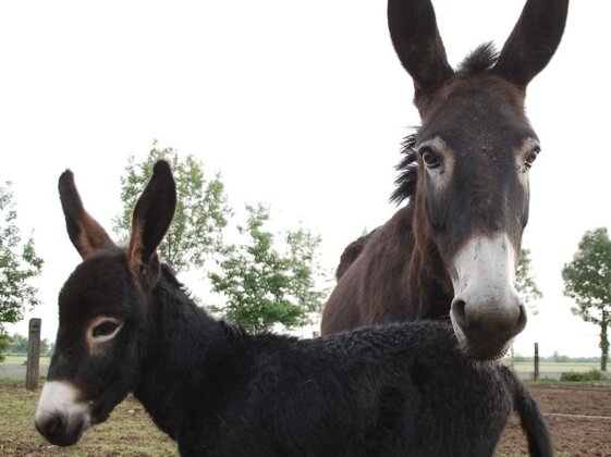 a29d3108-db12-4ab4-9bd5-f26ad28b4c2c a29d3108-db12-4ab4-9bd5-f26ad28b4c2c