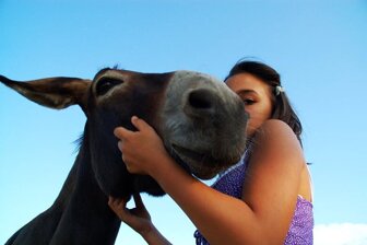 9d9eaf3f-6527-4986-8ca0-0aea4a53dae6 9d9eaf3f-6527-4986-8ca0-0aea4a53dae6