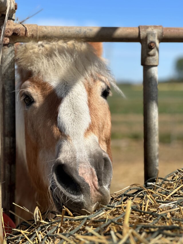 img_1852.jpeg img_1852.jpeg