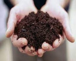 bc49b903-0f67-42a6-af7a-2cb67bf43d06