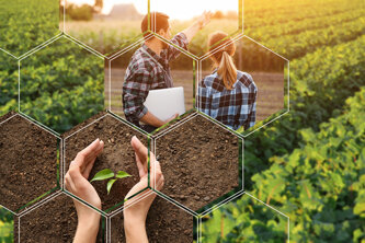 consulenza-agrotecnica.jpeg consulenza-agrotecnica.jpeg