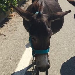 6d321452-9756-48d7-849d-3b137e71984e.jpeg 6d321452-9756-48d7-849d-3b137e71984e.jpeg