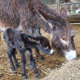 a4bb2cb4-f3b3-453b-b734-44c29ba4b583.jpeg a4bb2cb4-f3b3-453b-b734-44c29ba4b583.jpeg