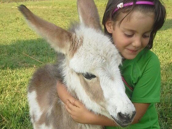 80adcaec-b86c-4986-872e-2d0efdd23516 80adcaec-b86c-4986-872e-2d0efdd23516