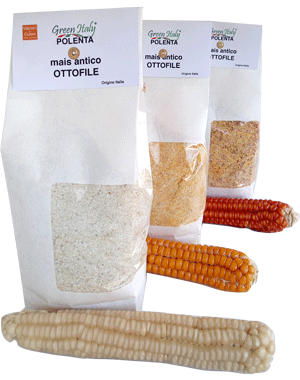 polenta-di-mais-antico-ottofile-bianco-giallo-arancione-rosso-800g-e-5kg