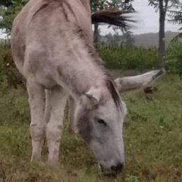 620c36c2-5320-42ba-9179-31b740b4ecbc.jpeg 620c36c2-5320-42ba-9179-31b740b4ecbc.jpeg