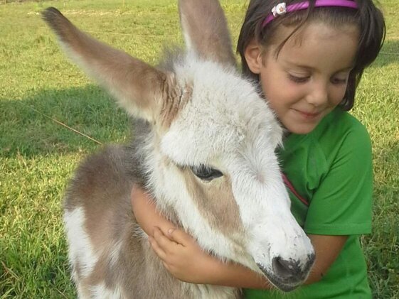 a7cd6a33-fc75-4a22-ad77-2cdaff823811 a7cd6a33-fc75-4a22-ad77-2cdaff823811