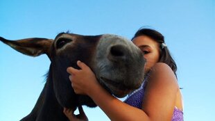 49681e42-e6da-4e2b-9612-67543f635c2c 49681e42-e6da-4e2b-9612-67543f635c2c