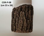 corteccia-curva-cor-p08