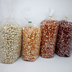 mais-antico-ottofile-bianco-giallo-arancione-rosso-busta-da-100-semi