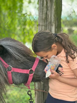 whatsapp image 2023-04-26 at 09.32.38.jpeg