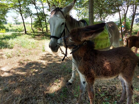 f0adfd8a-bdb7-4847-b2c8-e4e4e842b9c7.jpeg f0adfd8a-bdb7-4847-b2c8-e4e4e842b9c7.jpeg