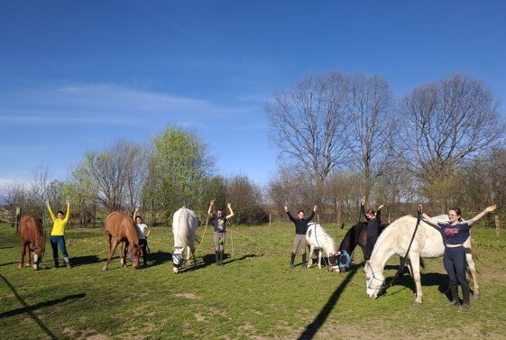 53d30ba2-b70c-4b9f-8a37-e3317db5ef0a