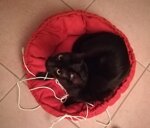 linea-cleola-magia-del-calore-sempre-con-te