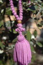 linea-birimbaochotkijantiche-radici