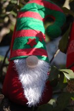 linea-ecate-la-magia-sempre-con-te