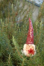 linea-ecate-la-magia-sempre-con-te