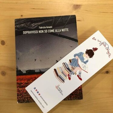 Libreria La Vispa Teresa, Vicenza Il libro e Fabrzia ospiti del Gruppo di Lettura