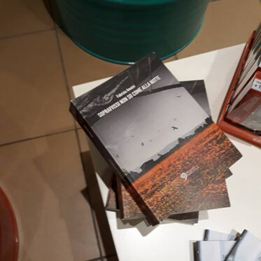 Libreria Piccoli Labirinti, Parma, 6 gennaio 2017