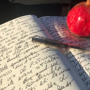Grani tra frutto e penna Il primo quaderno di scrittura del romanzo Grani tra frutto e penna Il primo quaderno di scrittura del romanzo