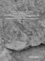 il-canto-delle-pietre-di-luca-brunelli-felicetti