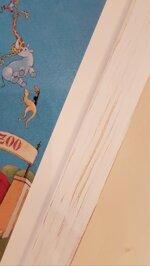 animali-in-fuga-con-cornice