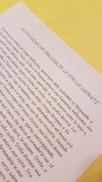 la-donnina-che-raccoglie-le-stelle-cadenti-con-cornice-the-lady-e-collects-falling-stars-with-fram