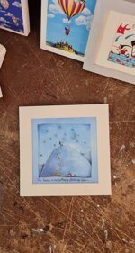 the-lady-who-collects-falling-stars