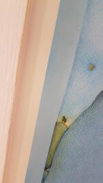 lomino-che-raccoglie-le-stelle-cadenti-con-cornice