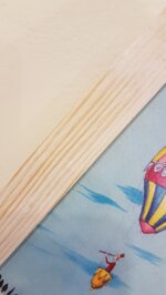 il-viaggio-di-igino-in-mongolfiera-con-cornice-the-journey-of-igino-in-the-balloon-with-frame