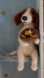 il-mendicante-di-stelle